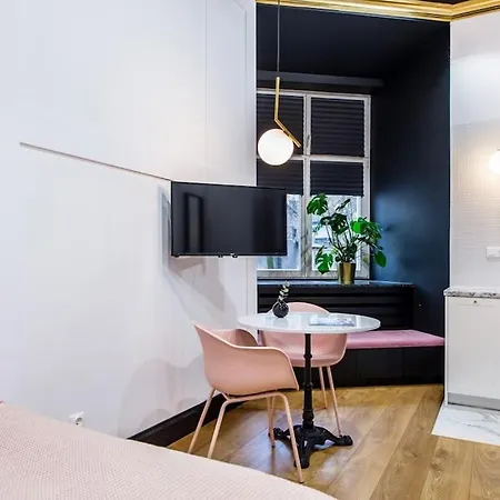 Studio In Historic Old Town Apartment